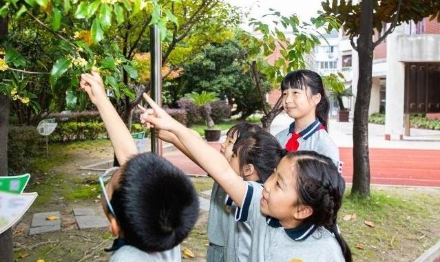 校园美不胜收！一起来看秋日里的中小学和幼儿园